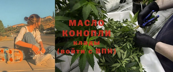 метадон Алексин